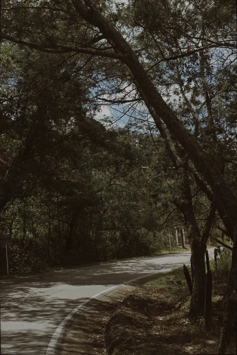 Carretera abierta