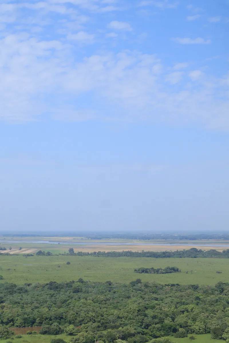 Atardecer en los Llanos