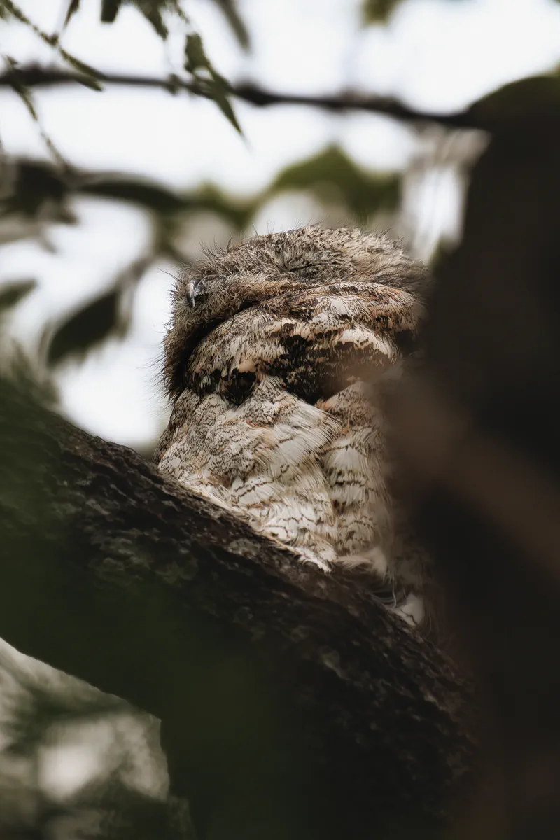 AWF - Fotografía documental