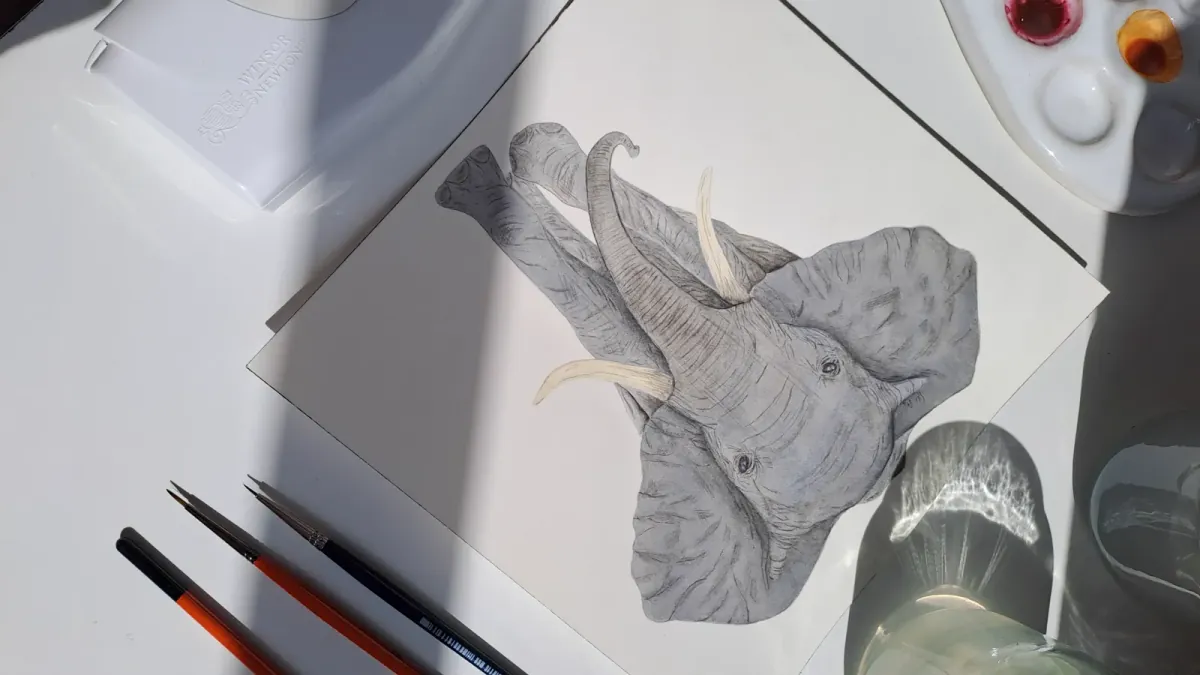 Acuarela elefante