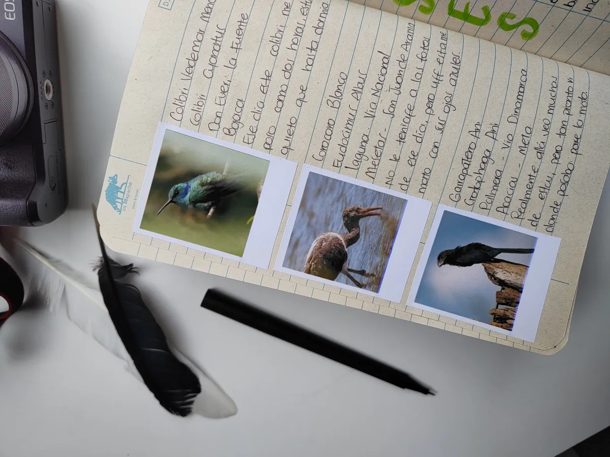 Taller crea tu diario de naturaleza